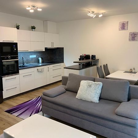 Apartman S Vyhlidkou Horni Marsov Exterior photo