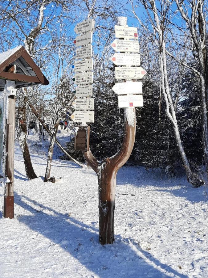 Apartman S Vyhlidkou Horni Marsov Exterior photo
